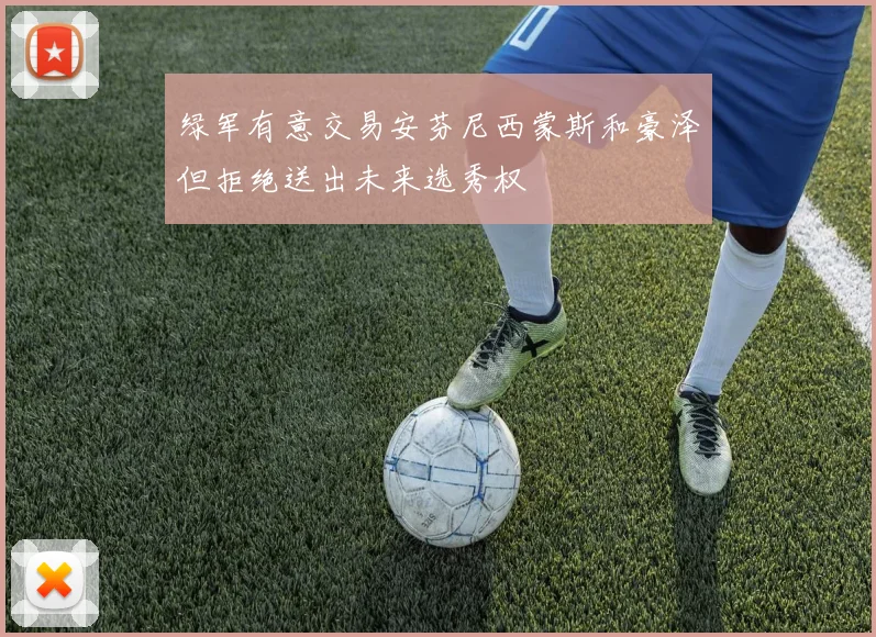 绿军有意交易安芬尼西蒙斯和豪泽但拒绝送出未来选秀权